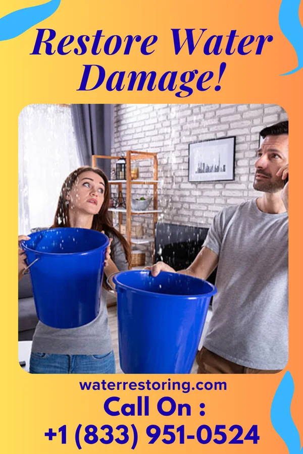 water restoration Precision Water Mitigation Group Bellwood