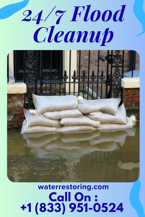 24/7 Flood Cleanup in Bellwood, VA