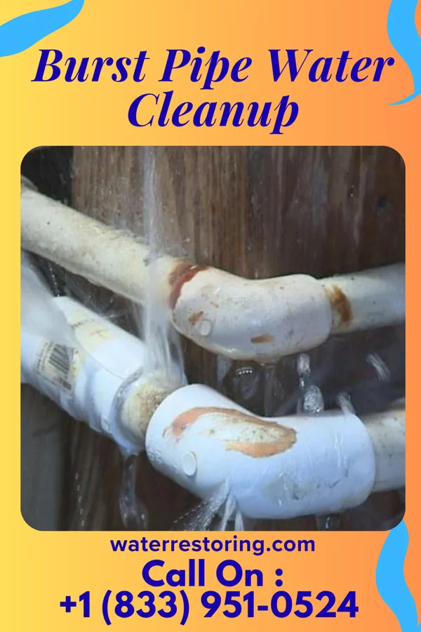 Burst Pipe Water Cleanup in Bellwood, VA