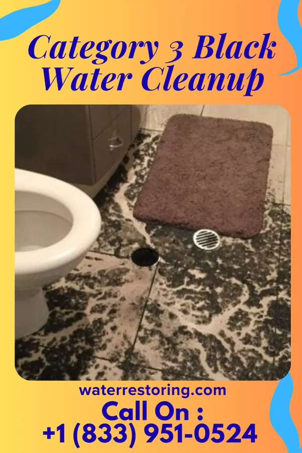 Category 3 Black Water Cleanup in Bellwood, VA