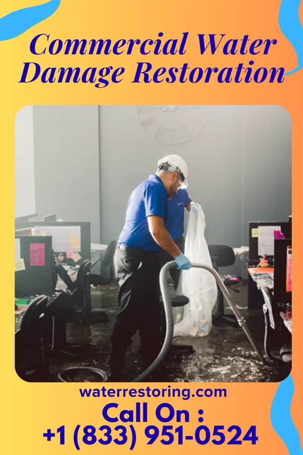 Commercial Water Damage Restoration in Bellwood, VA