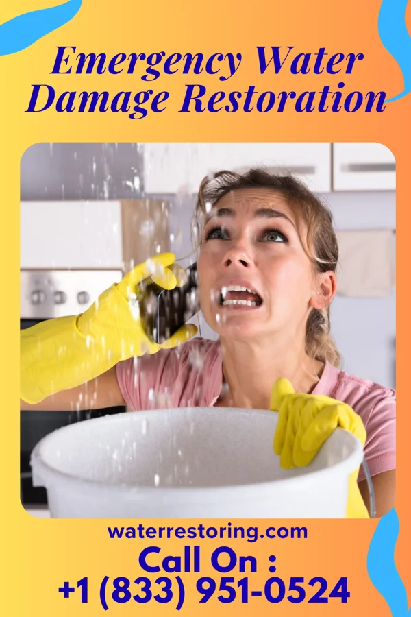 Emergency Water Damage Restoration in Bellwood, VA