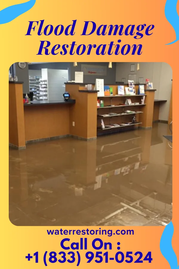 Flood Damage Restoration in Bellwood, VA