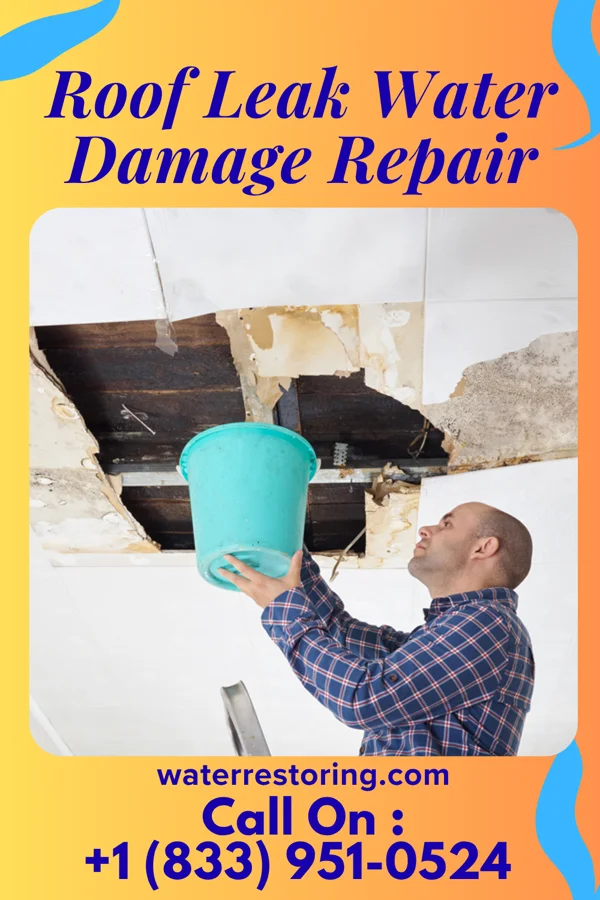 Roof Leak Water Damage Repair in Bellwood, VA