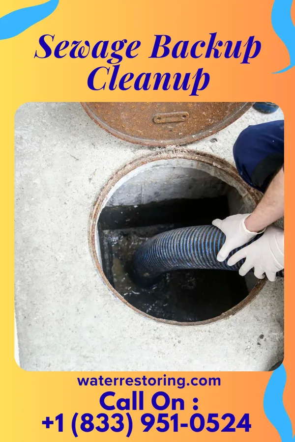 Sewage Backup Cleanup in Bellwood, VA