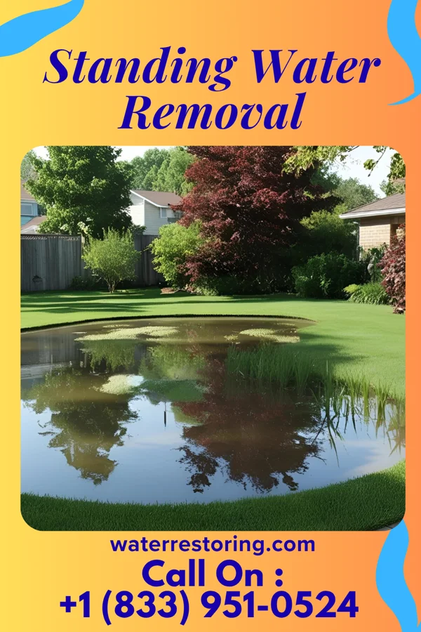 Standing Water Removal in Bellwood, VA